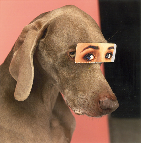 William Wegman 